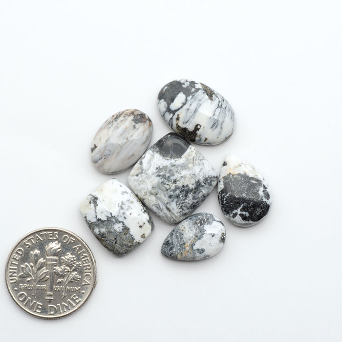 White Buffalo stone cabochons, white stone with black matrix, polished stones on a white background, with a US dime for scale