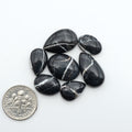 White Buffalo stone cabochons, white stone with black matrix, polished stones on a white background, with a US dime for scale