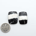 White Buffalo stone cabochons, white stone with black matrix, polished stones on a white background, with a US dime for scale