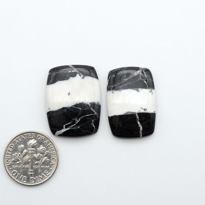 White Buffalo stone cabochons, white stone with black matrix, polished stones on a white background, with a US dime for scale