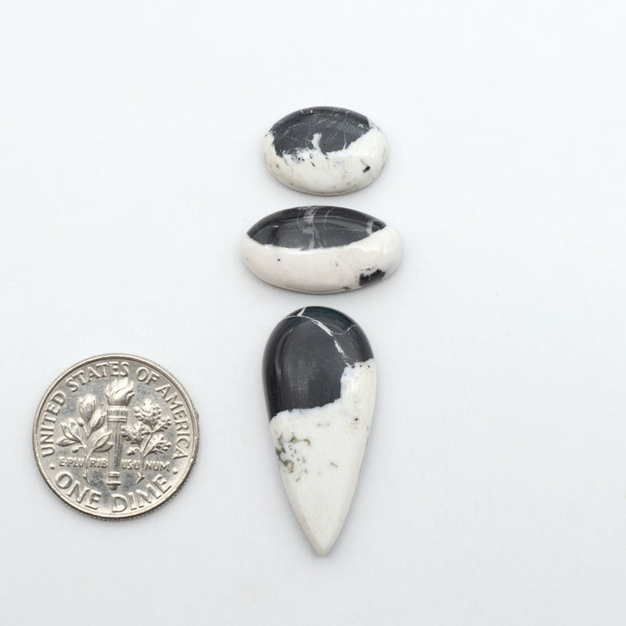 White Buffalo stone cabochons, white stone with black matrix, polished stones on a white background, with a US dime for scale