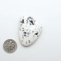 White Buffalo stone cabochons, white stone with black matrix, polished stones on a white background, with a US dime for scale