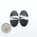 White Buffalo stone cabochons, white stone with black matrix, polished stones on a white background, with a US dime for scale