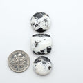 White Buffalo stone cabochons, white stone with black matrix, polished stones on a white background, with a US dime for scale