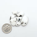 White Buffalo stone cabochons, white stone with black matrix, polished stones on a white background, with a US dime for scale
