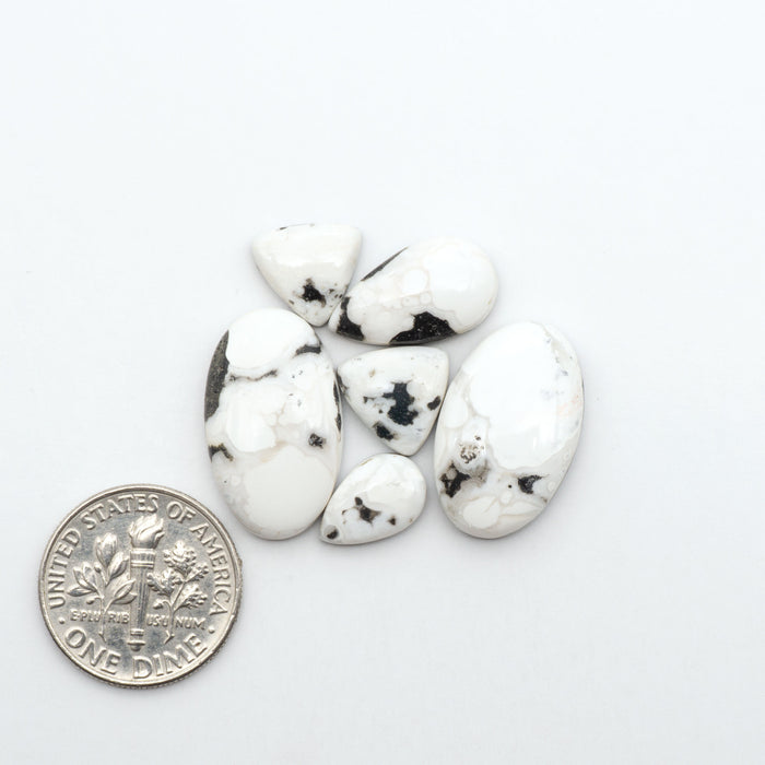 White Buffalo stone cabochons, white stone with black matrix, polished stones on a white background, with a US dime for scale