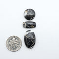 White Buffalo stone cabochons, white stone with black matrix, polished stones on a white background, with a US dime for scale