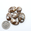 Wild Horse Magnesite cabochons, white gemstones with brown matrix on a white background, with a US dime for scale