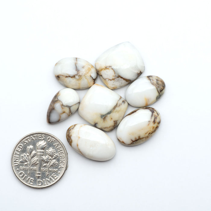 Wild Horse Magnesite cabochons, white gemstones with brown matrix on a white background, with a US dime for scale
